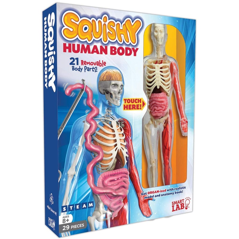 SmartLab Toys - Squishy Human Body