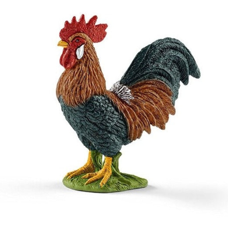 Rooster