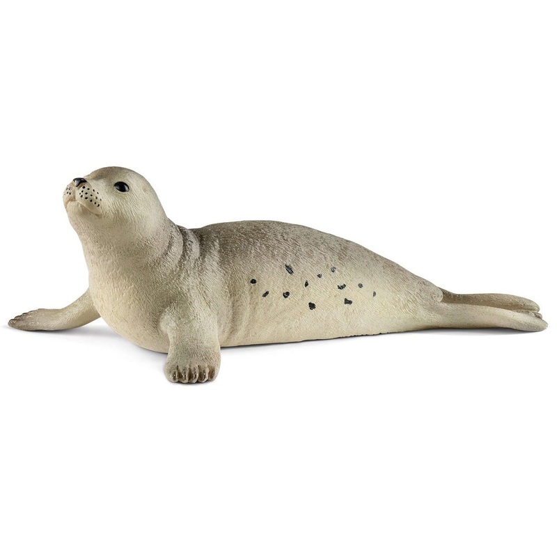 Seal