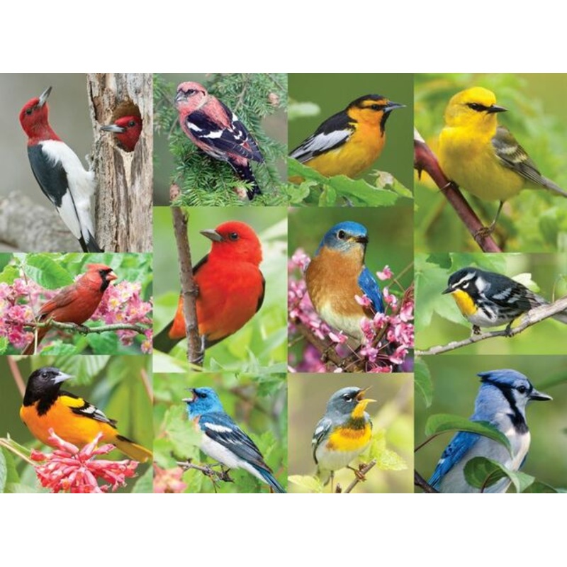 Birds of a Feather 500pc Puzzle
