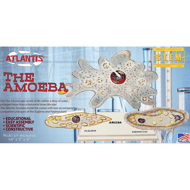 Amoeba Single Cell Model Kit