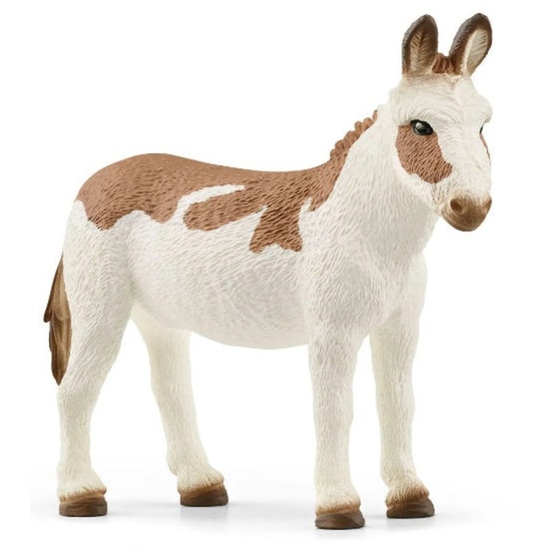American Spotted Donkey