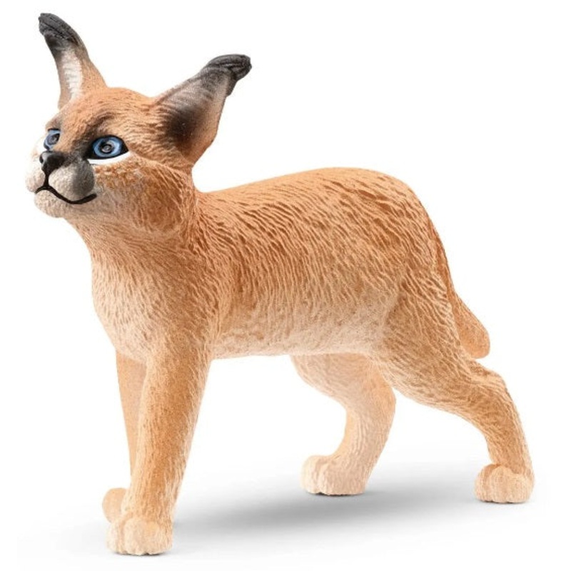 Caracal Cub