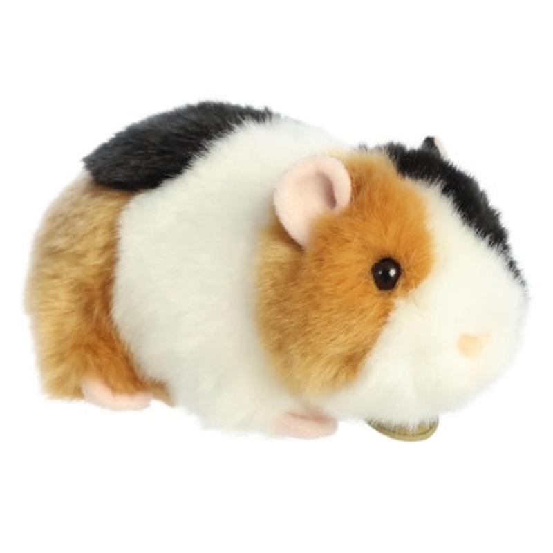 Miyoni - 7.5" American Guinea Pig