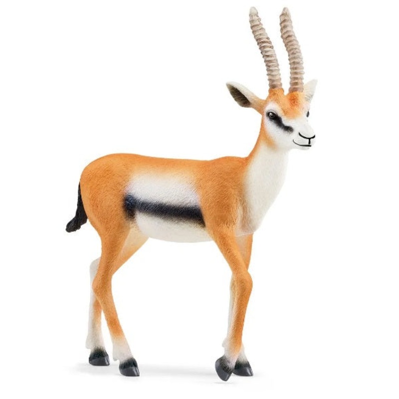 Thomson Gazelle