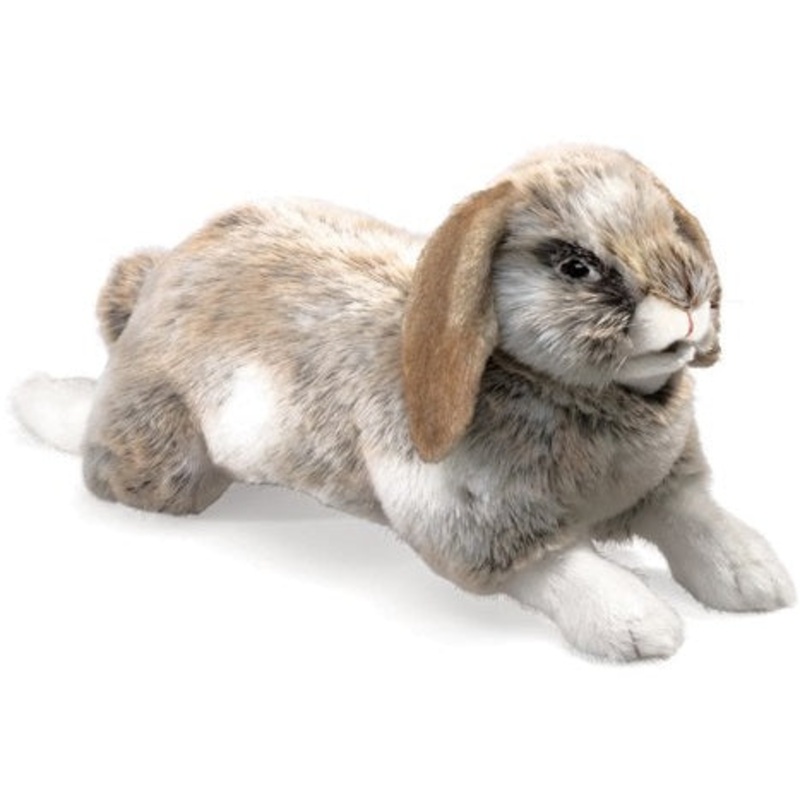 Holland Lop Hand Rabbit