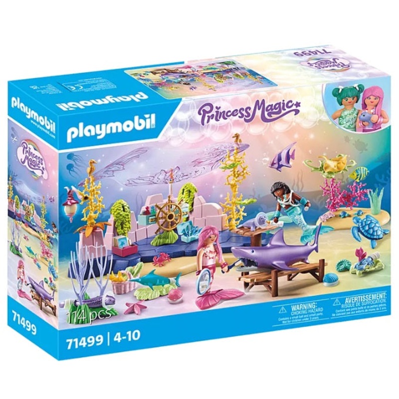 Princess Magic Mermaid Animal Care