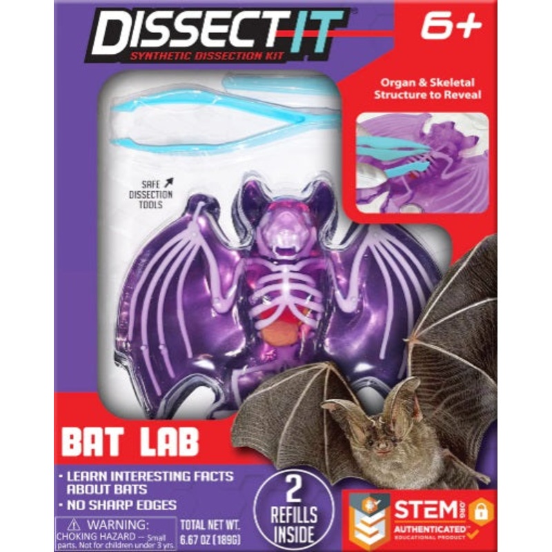 Dissect It Bat Lab