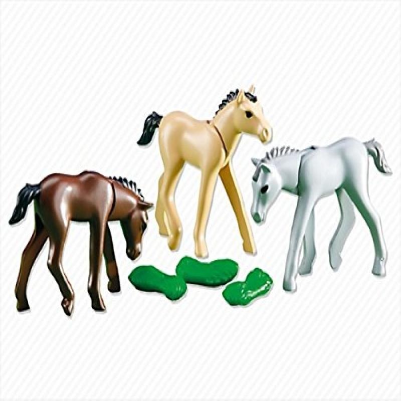 3 Foals with Feed