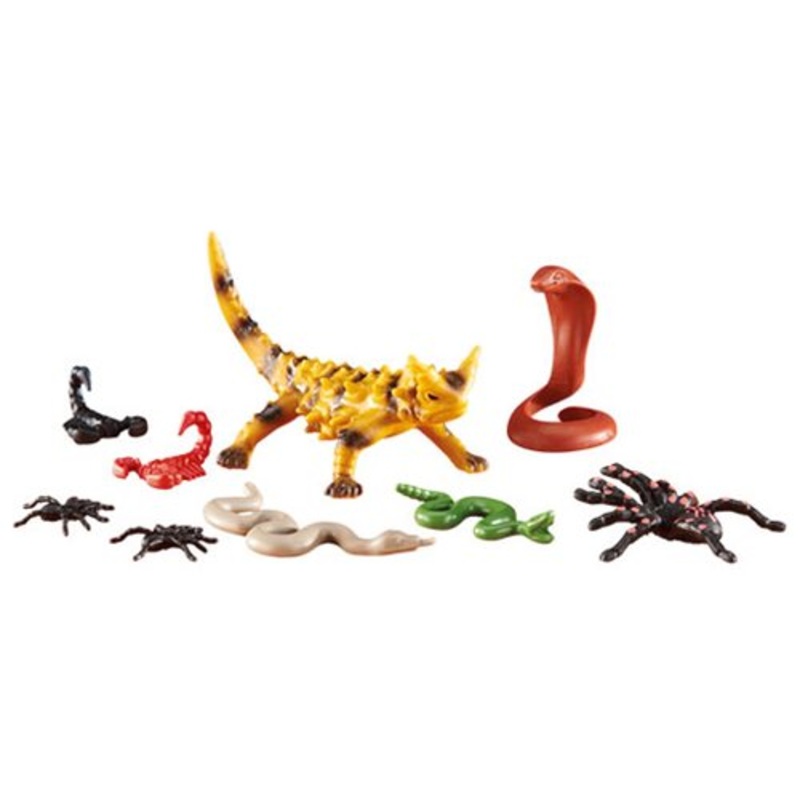 Desert Animals