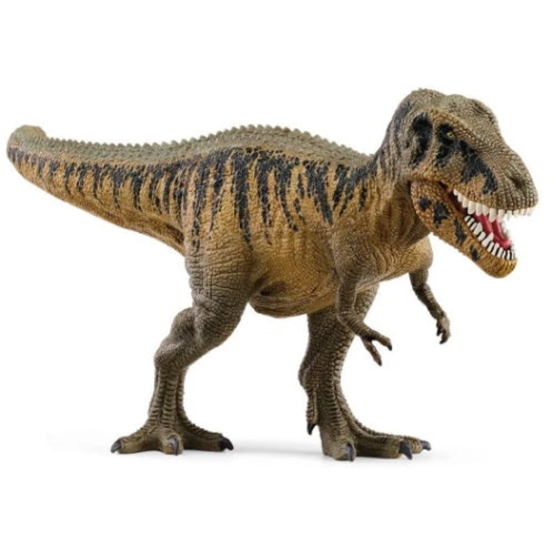 Tarbosaraurus Dinosaur