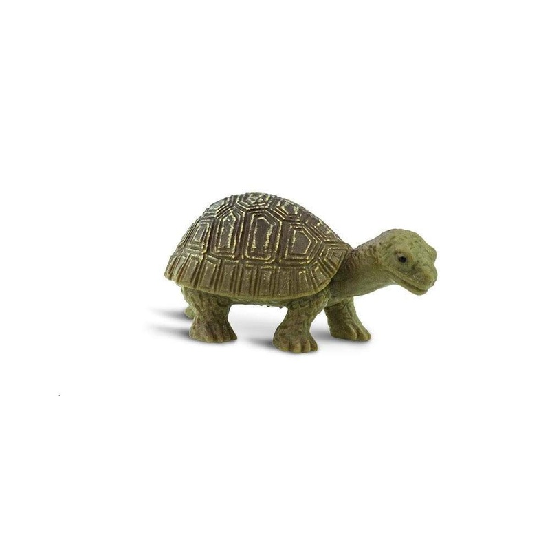 Tortoise Good Luck Mini