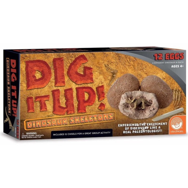 Dig It Up Dinosaur Skeletons