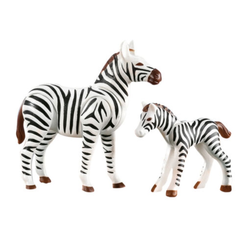 Zebra with Foal